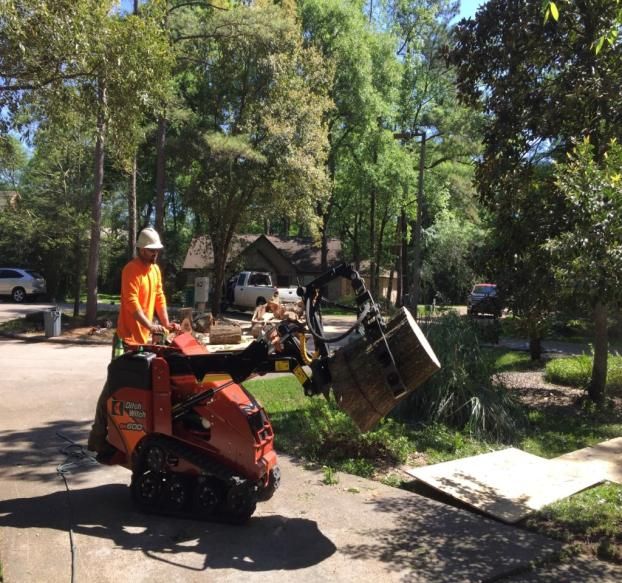 A recent tree cutting services job in the Conroe, TX area