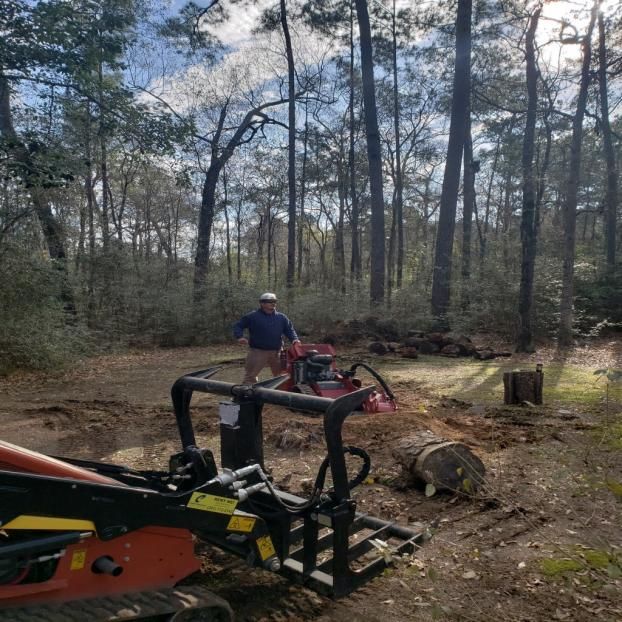 A recent tree company job in the Conroe, TX area